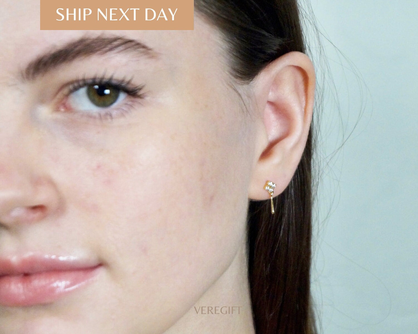 birthday gift, minimalist earrings, Exquisite Diamond-Studded S925 Silver Plated 14K Gold Earrings -EH5005