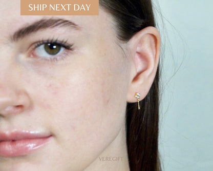 birthday gift, minimalist earrings, Exquisite Diamond-Studded S925 Silver Plated 14K Gold Earrings -EH5005